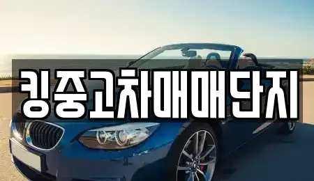 대구광역시 북구 금호동 중고차 전문 킹중고차매매단지