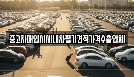 대구광역시 북구 금호동 중고차매입 전문 중고차매입시세내차팔기견적가격수출업체
