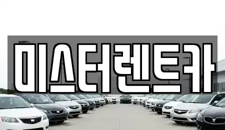 대구광역시 북구 서변동 렌트카 전문 미스터렌트카