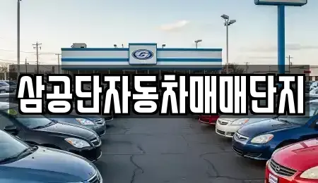 대구광역시 북구 서변동 중고차매매 전문 삼공단자동차매매단지