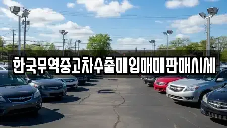 대구광역시 북구 서변동 중고차매입 전문 한국무역중고차수출매입매매판매시세