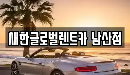 대구광역시 서구 비산동 단기렌트카 전문 새한글로벌렌트카 남산점