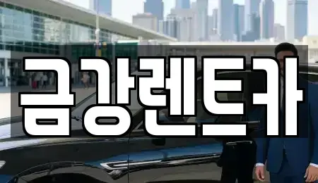 대구광역시 수성구 중동 렌트카 전문 금강렌트카