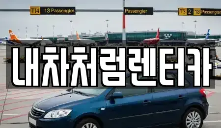 대구광역시 수성구 중동 렌트카 전문 내차처럼렌터카