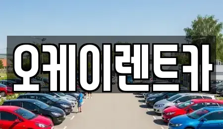 대구광역시 수성구 중동 렌트카 전문 오케이렌트카