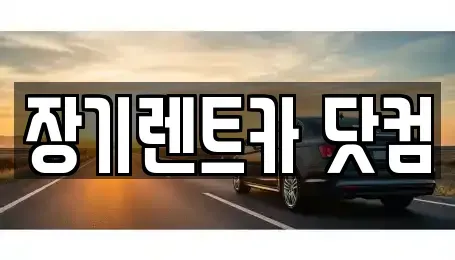 대구광역시 수성구 중동 장기렌트카 전문 장기렌트카 닷컴