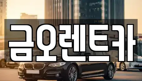 대구광역시 중구 동성로1가 렌트카 전문 금오렌트카