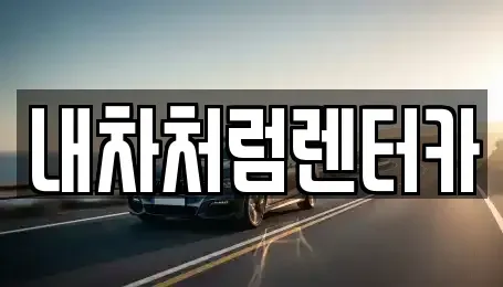 대구광역시 중구 동성로1가 렌트카 전문 내차처럼렌터카