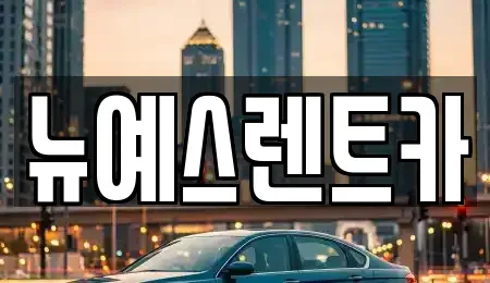 대구광역시 중구 동성로1가 렌트카,단기렌트카,장기렌트카,중고차,중고차매매,중고차매입