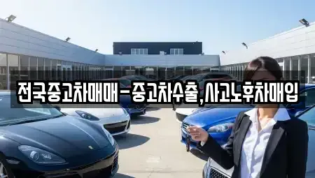 대구광역시 중구 동성로1가 중고차 전문 전국중고차매매-중고차수출,사고노후차매입