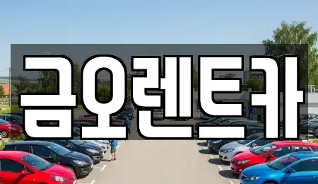 대구광역시 중구 완전동 단기렌트카 전문 금오렌트카
