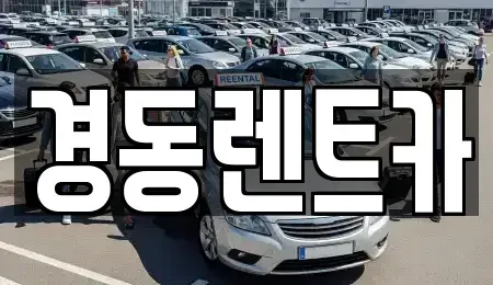 대구광역시 중구 완전동 렌트카 전문 경동렌트카