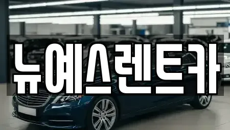 대구광역시 중구 완전동 렌트카 전문 뉴예스렌트카