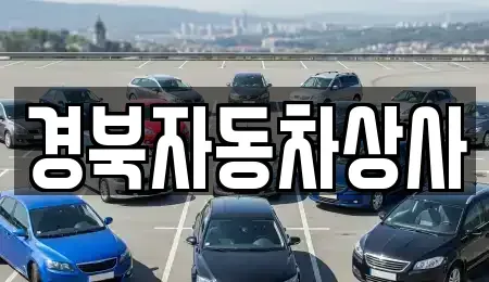 대구광역시 중구 완전동 중고차매매,단기렌트카,중고차매입,장기렌트카,중고차,렌트카