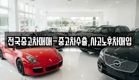 대구광역시 중구 완전동 중고차매매 전문 전국중고차매매-중고차수출,사고노후차매입