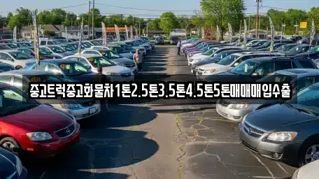 대구광역시 중구 완전동 중고차매매 전문 중고트럭중고화물차1톤2.5톤3.5톤4.5톤5톤매매매입수출