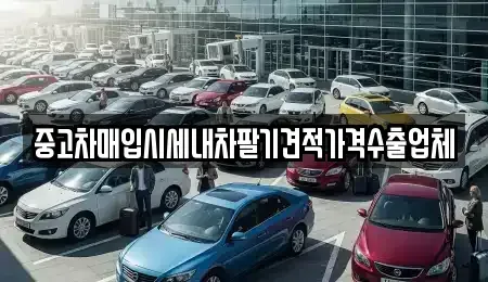 대구광역시 중구 완전동 중고차매입 전문 중고차매입시세내차팔기견적가격수출업체