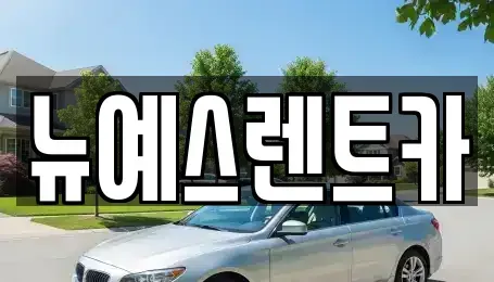대구광역시 중구 하서동 렌트카,단기렌트카,장기렌트카,중고차,중고차매매,중고차매입