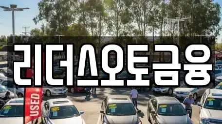 대구광역시 중구 하서동 렌트카 전문 리더스오토금융