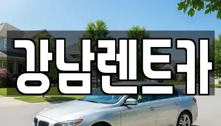 대전 동구 직동 렌트카 전문 강남렌트카