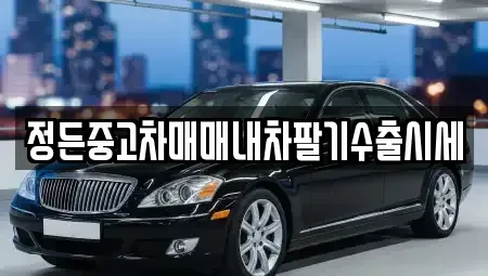대전 동구 직동 중고차매매 전문 정든중고차매매내차팔기수출시세
