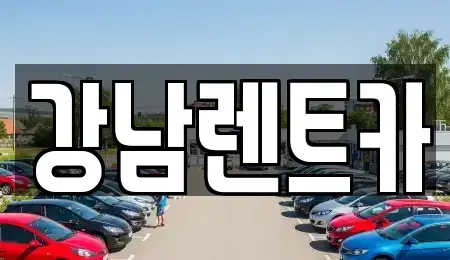 대전 서구 정림동 렌트카 전문 강남렌트카