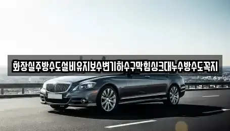 대전 서구 정림동 중고차 전문 화장실주방수도설비유지보수변기하수구막힘싱크대누수방수도꼭지