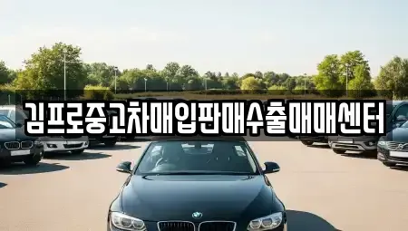 대전 서구 정림동 중고차매입 전문 김프로중고차매입판매수출매매센터