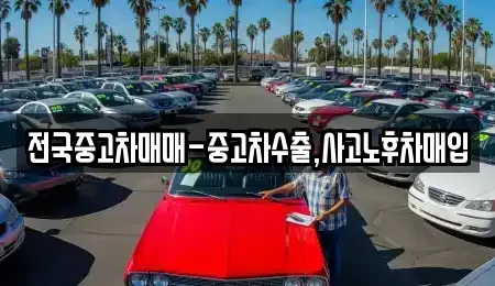 대전 서구 정림동 단기렌트카,중고차매입,중고차매매,중고차,렌트카,장기렌트카