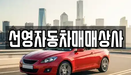 대전 유성구 원신흥동 중고차 전문 선영자동차매매상사