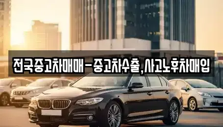 대전 유성구 원신흥동 중고차 전문 전국중고차매매-중고차수출,사고노후차매입
