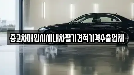 대전 유성구 원신흥동 중고차매입 전문 중고차매입시세내차팔기견적가격수출업체