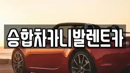 대전 중구 금동 렌트카 전문 승합차카니발렌트카