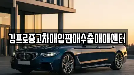 대전 중구 금동 중고차 전문 김프로중고차매입판매수출매매센터