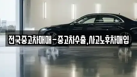 대전 중구 금동 중고차 전문 전국중고차매매-중고차수출,사고노후차매입