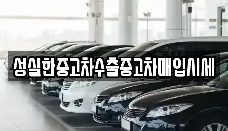 대전광역시 동구 소호동 중고차 전문 성실한중고차수출중고차매입시세