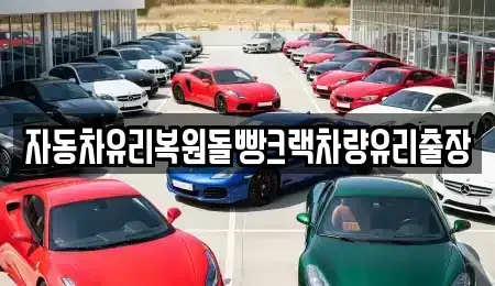 대전광역시 동구 소호동 중고차 전문 자동차유리복원돌빵크랙차량유리출장