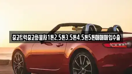 대전광역시 동구 소호동 중고차 전문 중고트럭중고화물차1톤2.5톤3.5톤4.5톤5톤매매매입수출