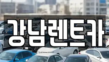대전광역시 동구 효동 렌트카 전문 강남렌트카
