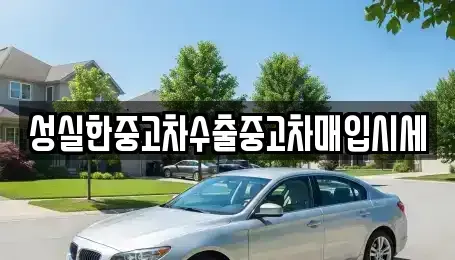 대전광역시 동구 효동 단기렌트카,중고차매입,중고차매매,중고차,렌트카,장기렌트카