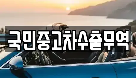 대전광역시 중구 어남동 중고차 전문 국민중고차수출무역