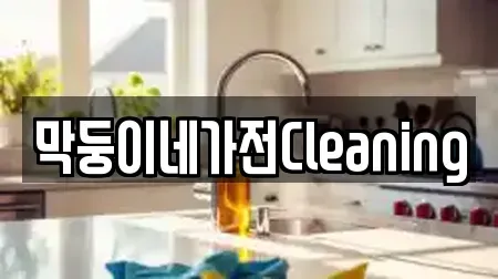 막둥이네가전Cleaning
