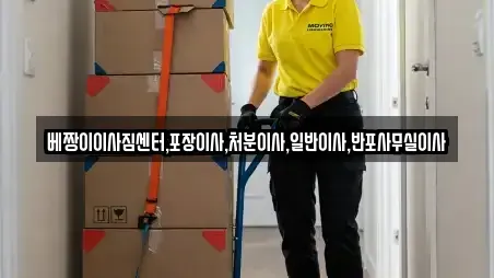 베짱이이사짐센터,포장이사,처분이사,일반이사,반포사무실이사