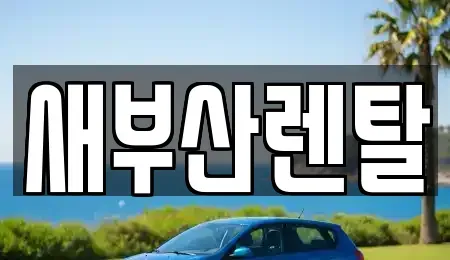 부산 금정구 회동동 렌트카 전문 새부산렌탈