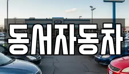 부산 금정구 회동동 중고차 전문 동서자동차