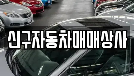 부산 금정구 회동동 중고차 전문 신구자동차매매상사