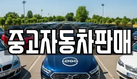 부산 금정구 회동동 중고차,렌트카,중고차매입,중고차매매,장기렌트카,단기렌트카