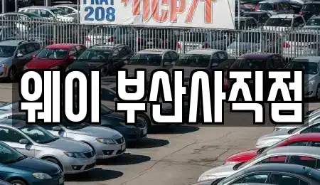 부산 동래구 렌트카 전문 웨이 부산사직점