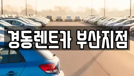 부산 동래구 장기렌트카 전문 경동렌트카 부산지점