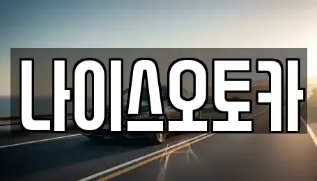 부산 동래구 장기렌트카 전문 나이스오토카
